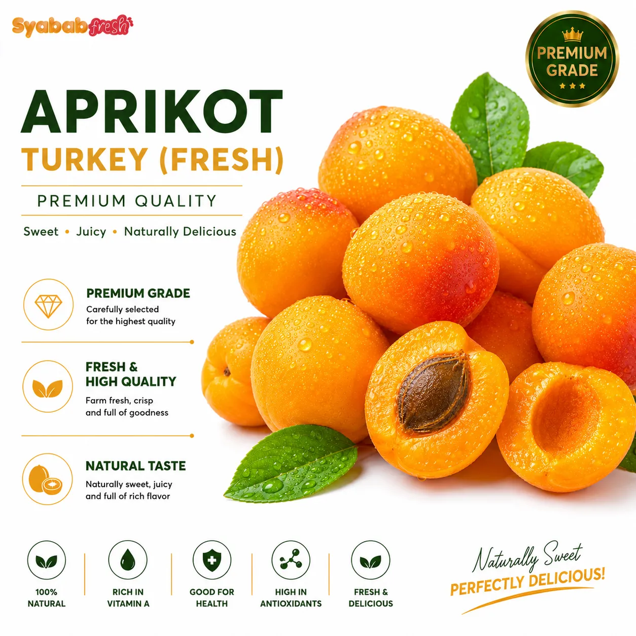 Aprikot Turkey โ gambar 3