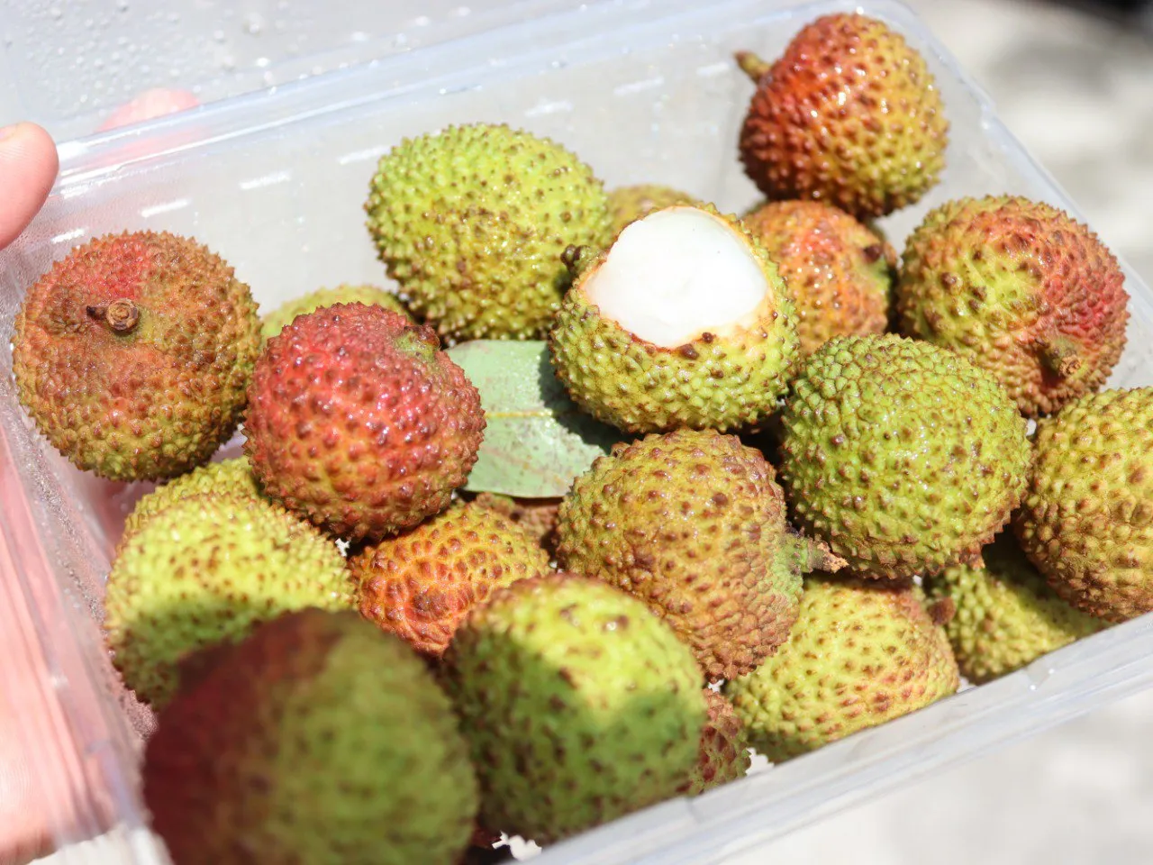 Sweet Lychee (500Gram)