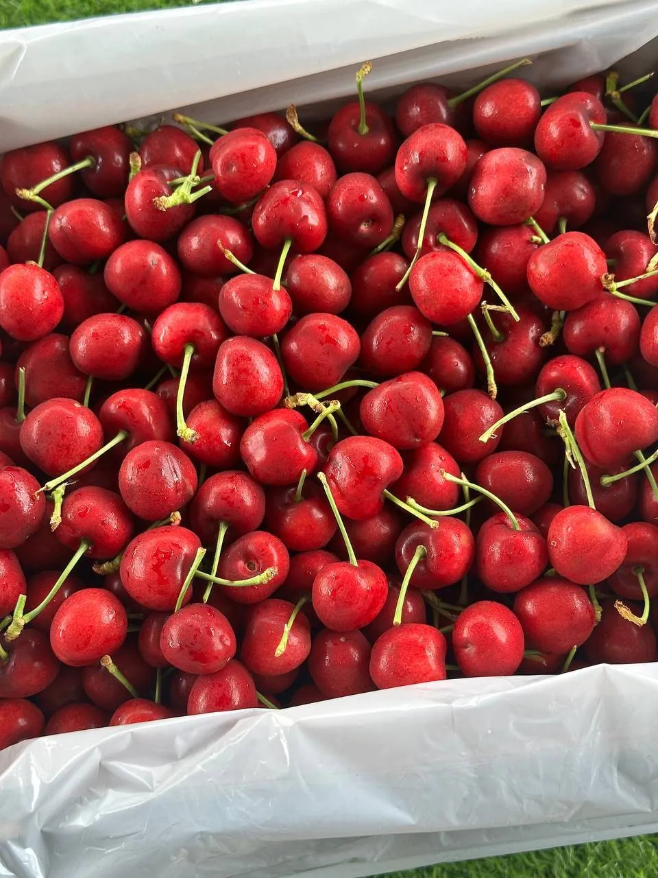 Cherry Turkey (100Gram)