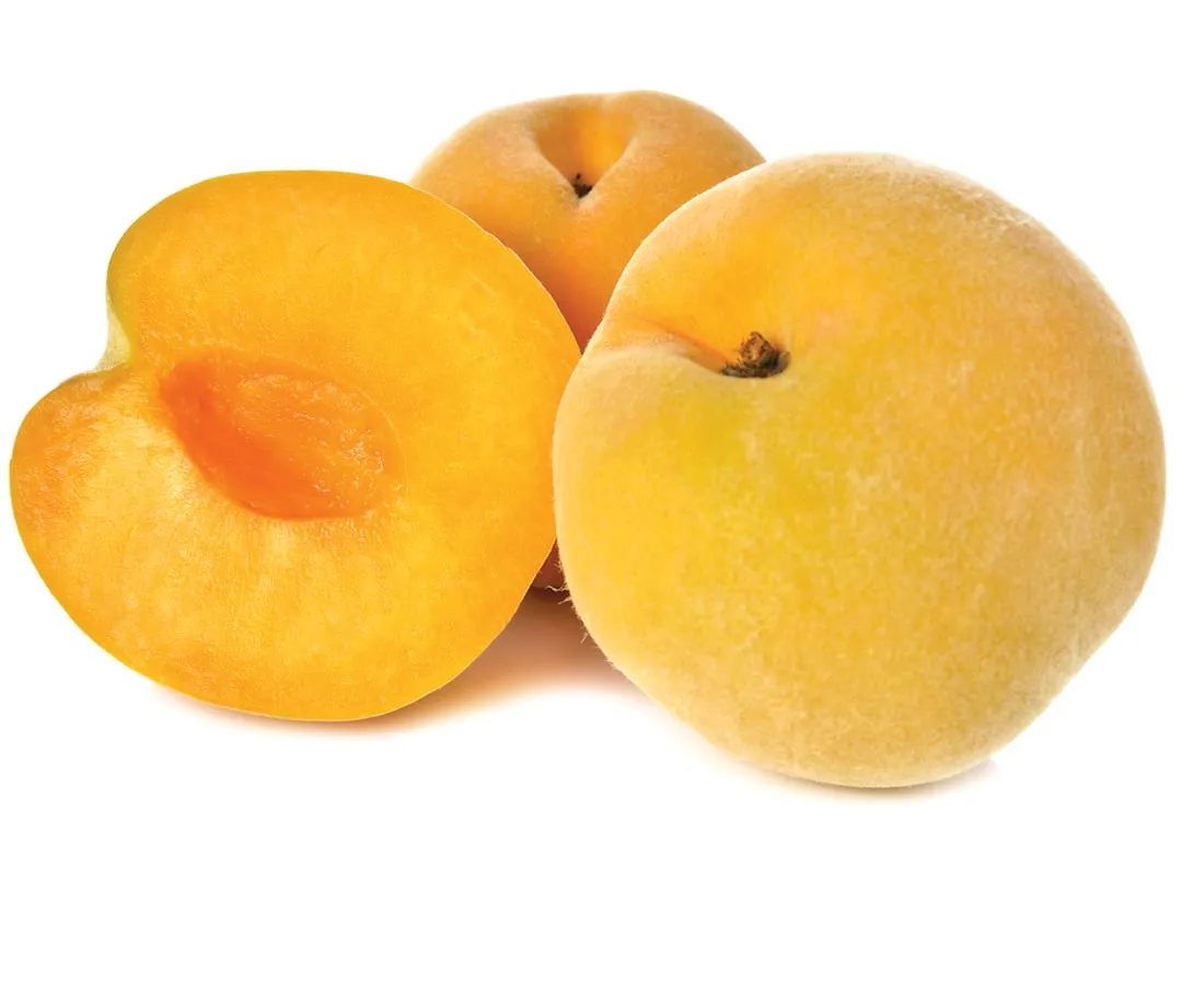 [Size XXL] Golden Round Peach — gambar 2