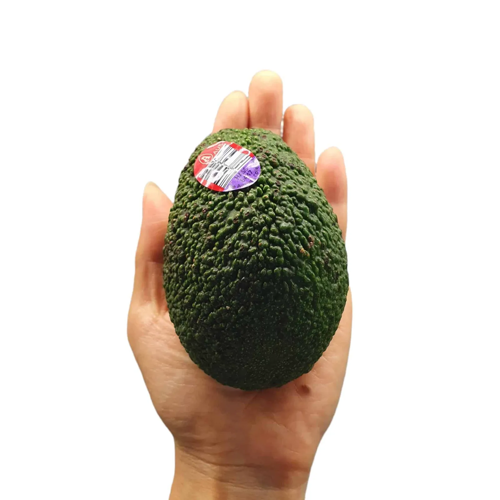 Avocado Hass Australia — gambar 2