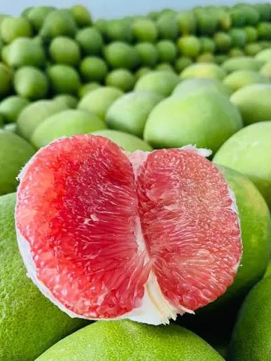 Limau Bali Merah — gambar 2