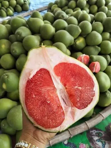 Limau Bali Merah — gambar 3