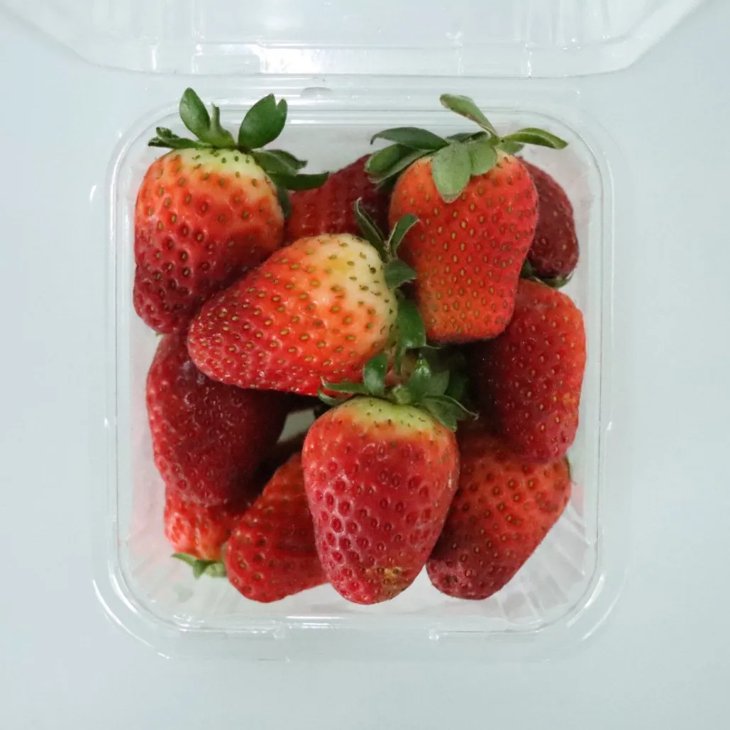 Strawberry Australia — gambar 2