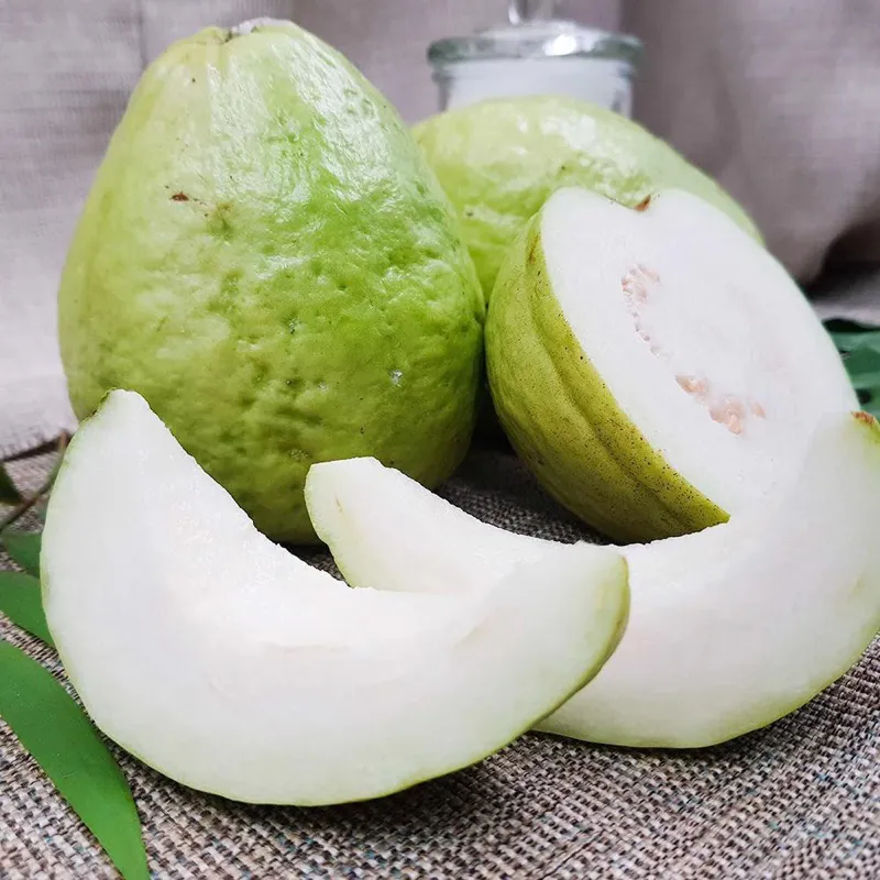 Jambu Lohan — gambar 2